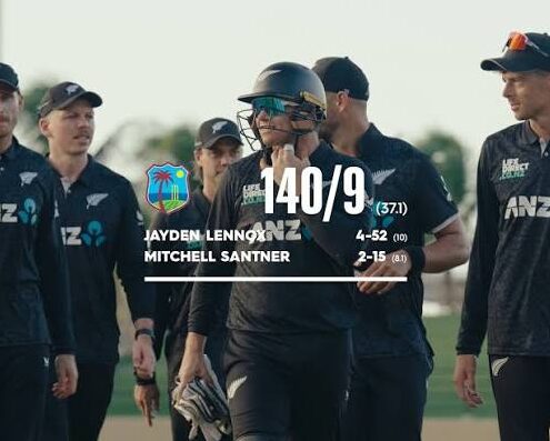 Mitchell Santner match winning knock